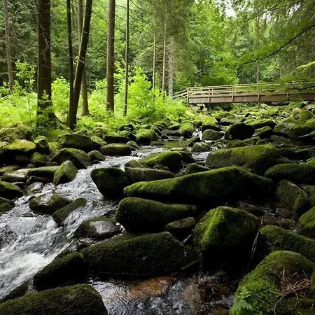 Camping Bayerwald *