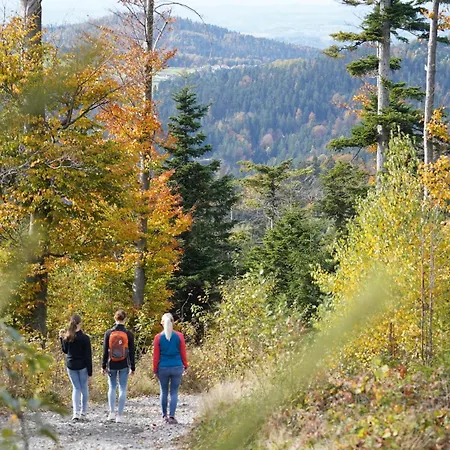 Bayerwald Camping Waldkirchen