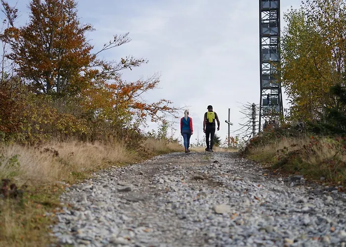 Bayerwald אתר קמפינג